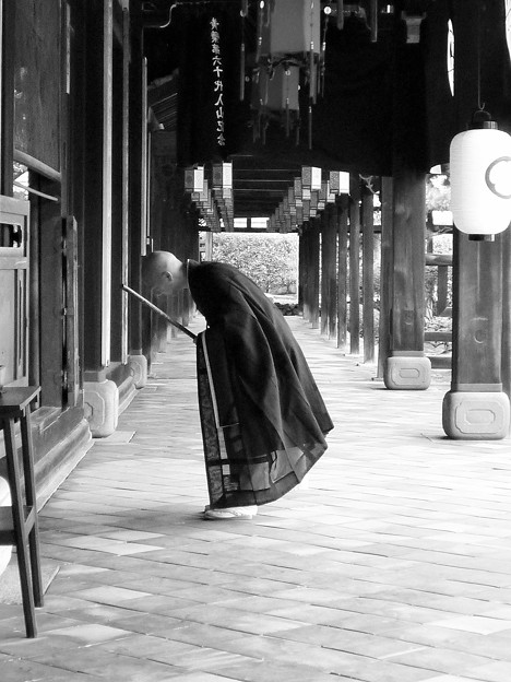 祈りの形　Worshiping Monk in  Manpuku-ji　　　　　　　　＊禅僧の薄き法衣や花の冷え