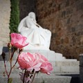 写真: 聖テレサに捧げる薔薇〜スペイン Gate Alcazar