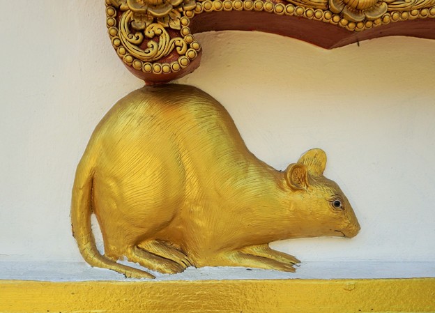謹賀子年〜タイ Golden Mouse,Chiang Rai