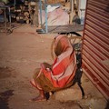 Photos: 不安な日々〜インド Indian Old Woman