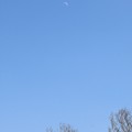 写真: 青空とお月さん