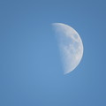 写真: 上弦の月