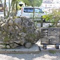 Photos: さざれ石