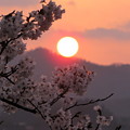 写真: 岩手県・北上展勝地の夜明け