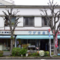 写真: 昭和41年創業 ワダ洋品店　18042018