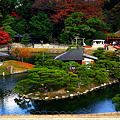 写真: 日本三名園、岡山後楽園.。。