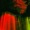 写真: 鍋ヶ滝のライトアップ