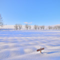 拓真館/ 陽光下的雪景