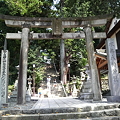 写真: 森八幡神社