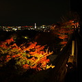 写真: 清水寺の紅葉と夜景
