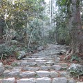 鎌倉積み石段１
