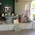 写真: 多賀神社19　性の博物館―凸凹神堂入り口