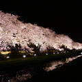 写真: 対岸の桜 - 夕陽モード