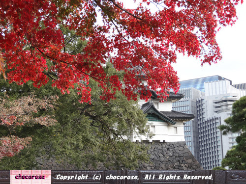 写真: 紅葉と富士見櫓の先の大手町のビル群