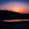 写真: 夕焼け2＠桶川