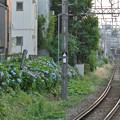 写真: _京王井の頭線下北沢駅にて