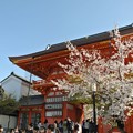 写真: 八坂神社