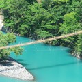 写真: 2014.07.29　寸又峡温泉　夢の吊橋