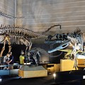 写真: 2015.07.27　2015 ヨコハマ恐竜博　展示室