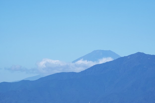 写真: 2018.10.01　瀬谷市民の森　富士山