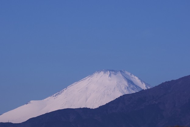 写真: 2021.02.05　駅前　富士山