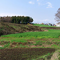 2010.03.16　境川　畑