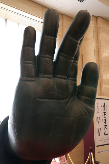 写真: 2010.11.15　東京国立博物館　東大寺大仏　大仏さまの右手