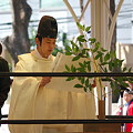 写真: 2011.03.27　靖国神社　ZERO1奉納プロレス　祝詞