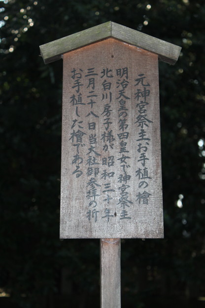 写真: 元神宮祭主お手植の檜の説明板