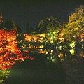 写真: 永観堂ライトアップ・・　京都･洛東さんぽ〜6♪
