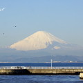 写真: 江の島-435