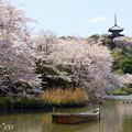 写真: 三渓園〜桜咲くころ〜-238