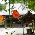 写真: 鎌倉-142