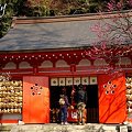 写真: 梅香る・・荏柄天神社