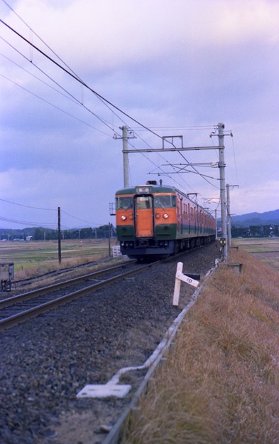 写真: AN19-山陰本線、115系普通電車