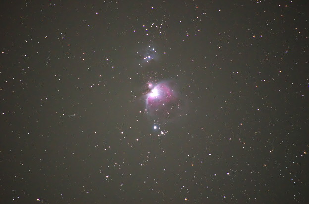 写真: オリオン大星雲