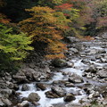写真: 渓谷の秋