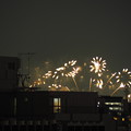 写真: ガーベラのような花火