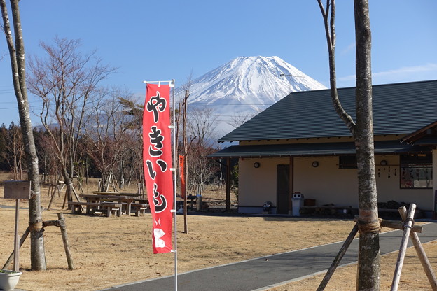 やきいも『富士山』