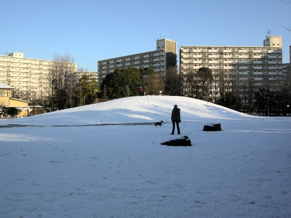 写真: 雪の公園
