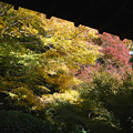 写真: 20龍安寺つくばい付近の紅葉
