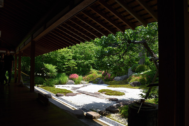 写真: 浄妙寺お茶室前の庭園