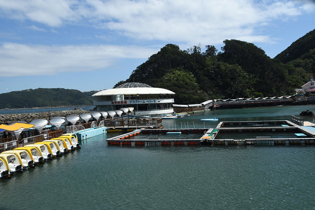 写真: 下田海中水族館風景１