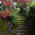 写真: 栄摂院の緑と赤