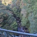写真: 箱根登山鉄道から見下ろす