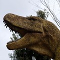 写真: ティラノザウルス登場