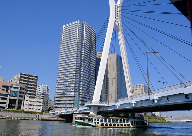 隅田川の橋５ 中央大橋と船「道灌」