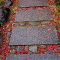 石畳と落ち紅葉
