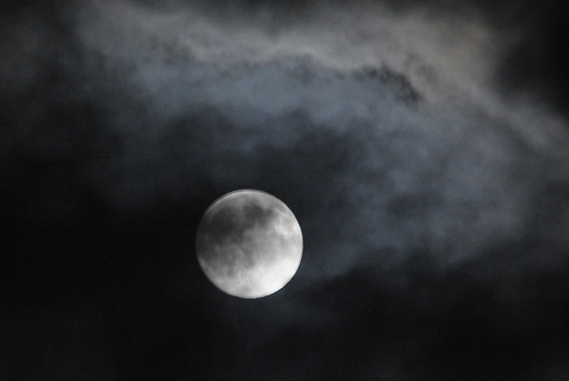 写真: 月に群雲