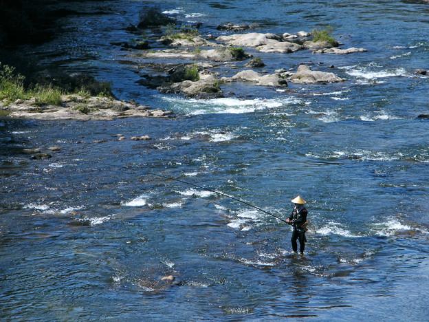 Photos: 久慈川で鮎を釣る釣り人